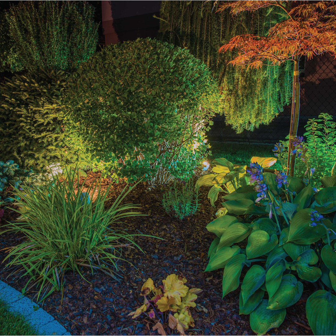 Swivel Disk Lights - Set de 4 luces solares LED orientables