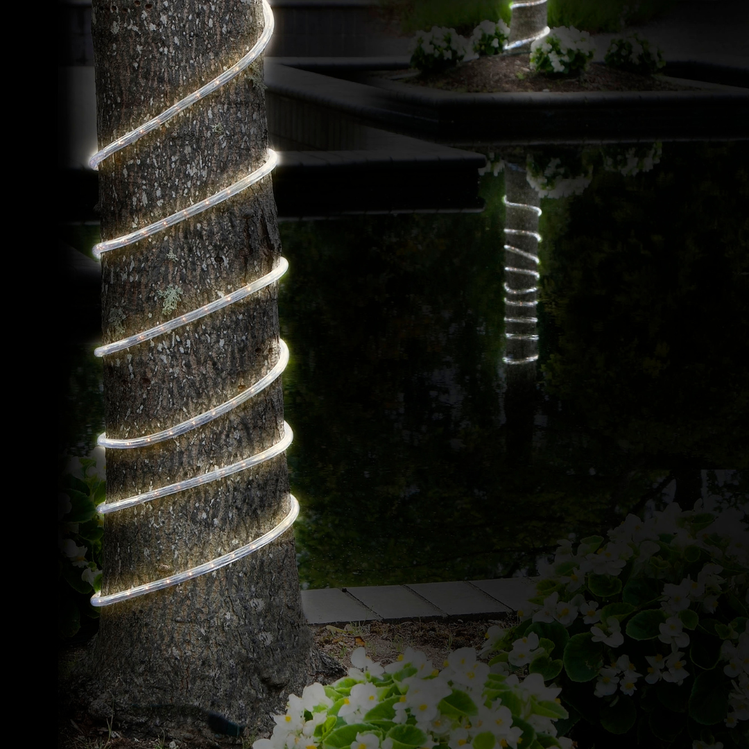 Bionic Rope Lights - Cuerda de luces LED solar e impermeable