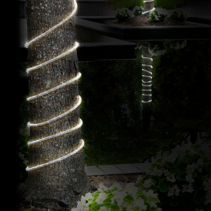 Bionic Rope Lights - Cuerda de luces LED solar e impermeable